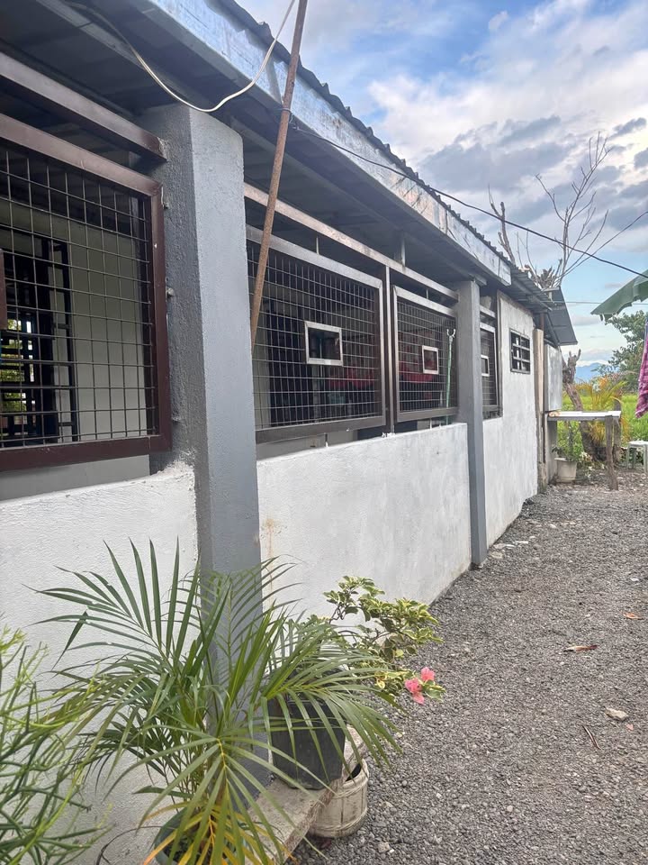 230 square meters HOUSE AND LOT FOR SALE – photo 1