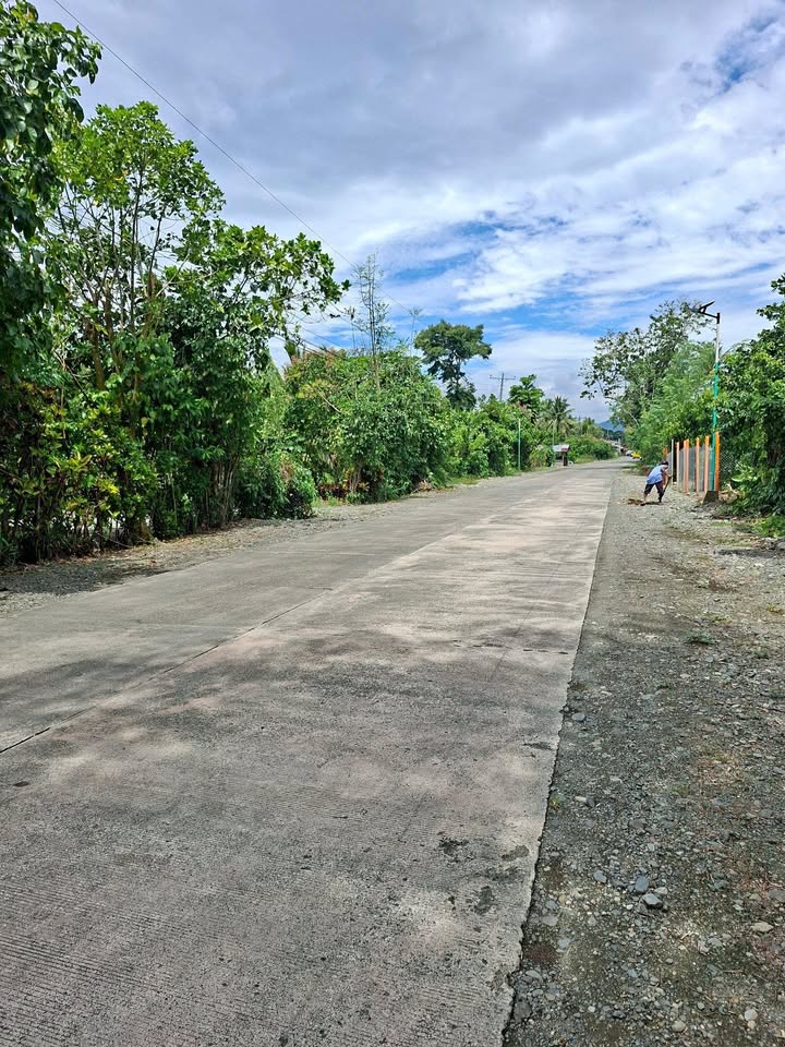 8 hectars fully planted along the road coco land for sale – photo 1