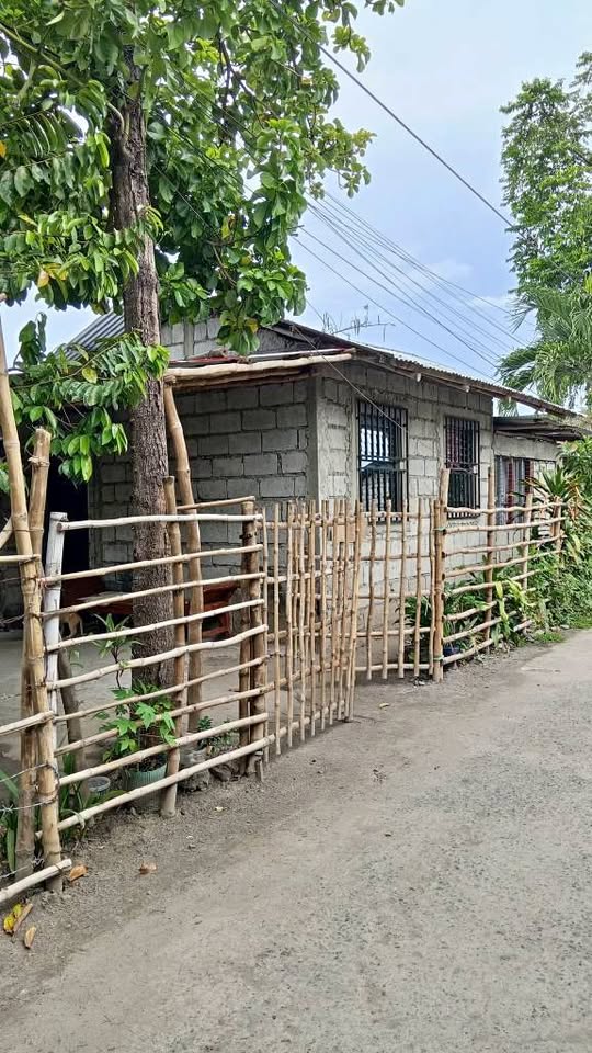 HOUSE AND LOT – photo 1