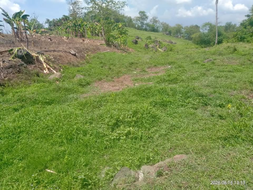 lote 350 sqm. patag at may kalsada, – photo 1