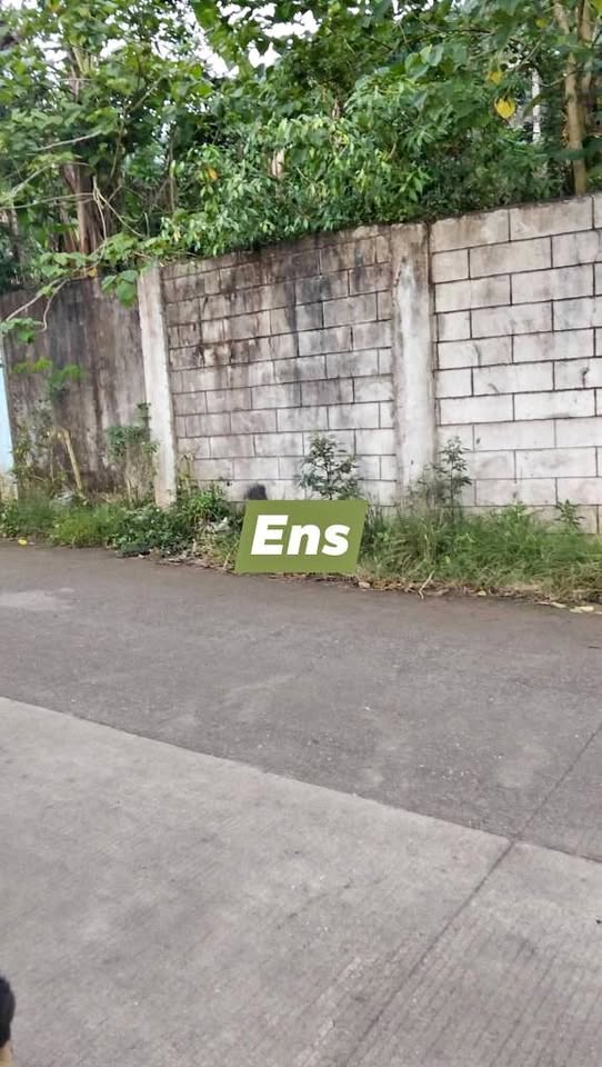 Lot for sale – photo 1
