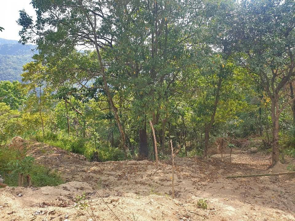 Titled lot Asin, tuba near baguio – photo 1