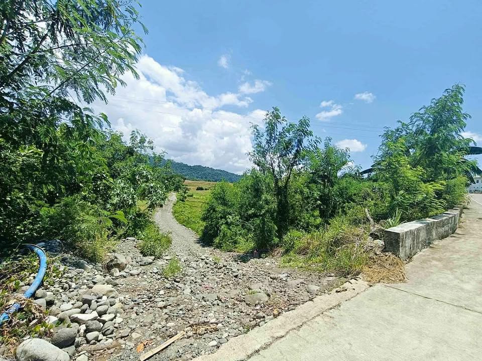 Rush Lot for Sale – photo 1