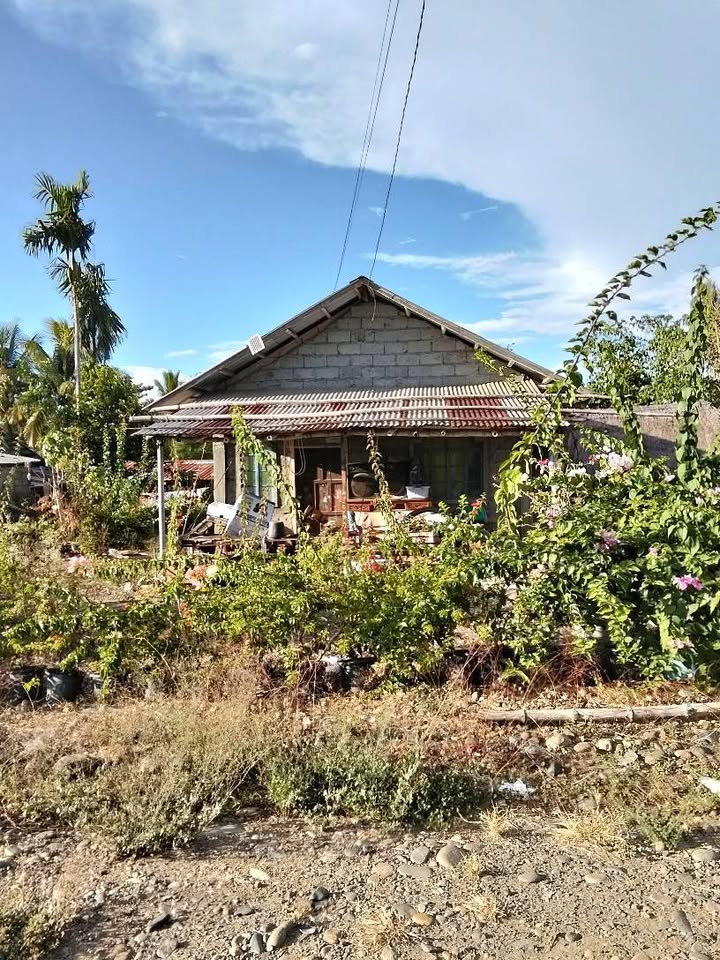 House and lot for sale Rush po – photo 1