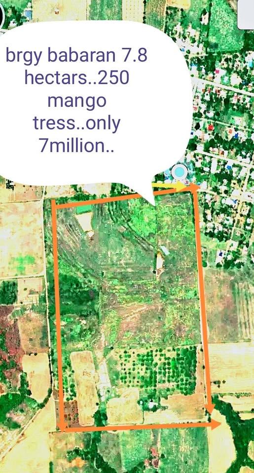 Lot for sale – photo 1