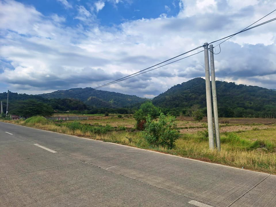 Along highway. San Juan, La union – photo 1