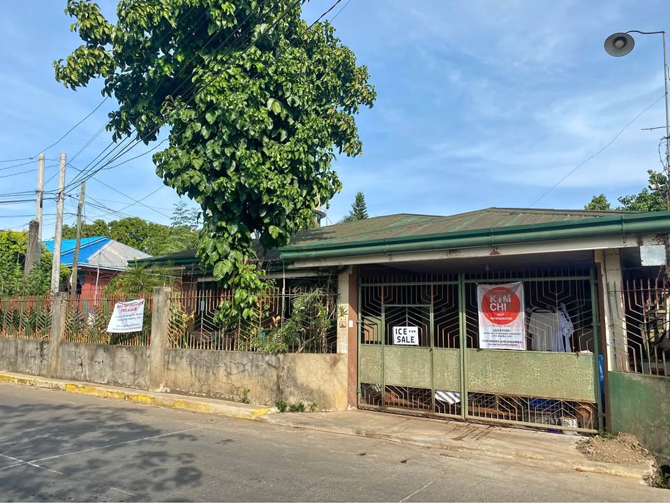 HOUSE AND LOT FOR SALE 282sqm Rosario Santiago City – photo 1